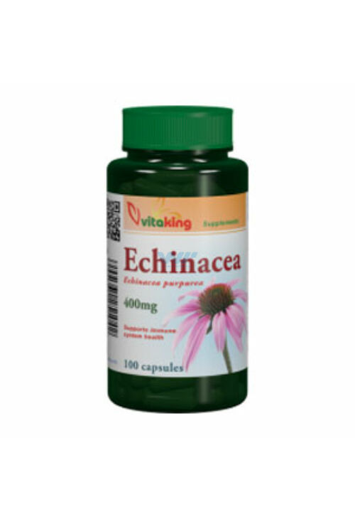 Echinacea - Bíbor kasvirág